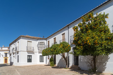 Fototapeta na wymiar White Spanish house with orange tree and blue sky in Ronda Spain