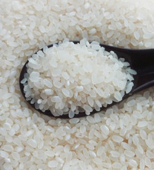 rice in a spoon, rice, rice groats
