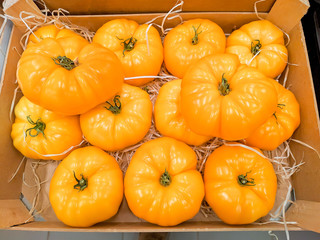 Fresh big yellow grape tomatoes