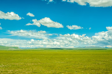 aqu Qiangtang Plateau Ranch Scenery, Tibet, China