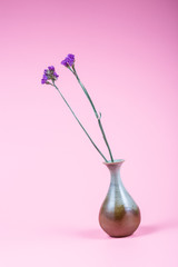 Flower, vase, background, flower arrangement art