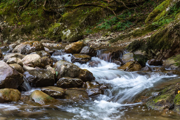 Mountain stream with clear water in the boxwood forest, Krasnodar region, Russia