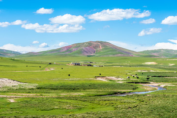 Naqu Qiangtang Plateau Ranch Scenery, Tibet, China
