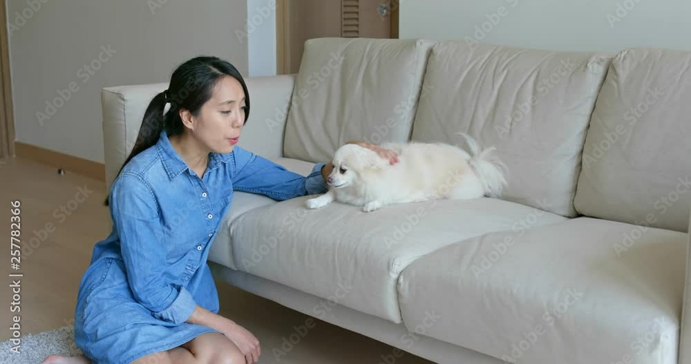 Poster Woman cuddle her Pomeranian dog at home