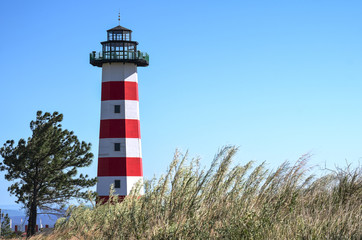 View of a light house with tall grass in front