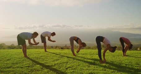 Yoga class at sunset, happy diverse group of young people practicing yoga poses together, stretching health and wellness