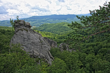mountain landscape with trees