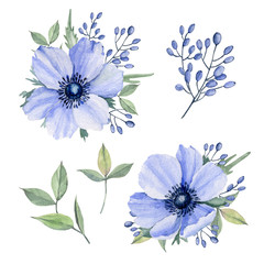 Handpainted watercolor flowers set in vintage style. It's perfect for greeting cards, wedding invitation, birthday and mothers day cards. Watercolor botanical illustration isolated.
