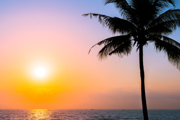 Naklejka na ściany i meble Beautiful Silhouette coconut palm tree on sky neary sea ocean beach at sunset or sunrise time