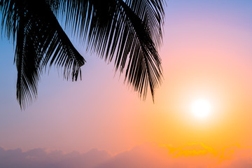 Fototapeta na wymiar Beautiful Silhouette coconut palm tree on sky neary sea ocean beach at sunset or sunrise time