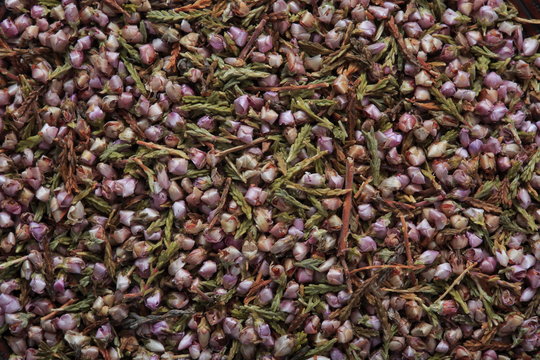 Heath image (herb)