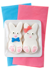 Easter bunny cookies, boy and girl with bow and bow tie on a small square plate sitting on pink and blue napkins isolated on white background. Home made original design.