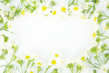 Fototapeta na wymiar Flowers composition. Border made of daisy white flowers. Flat lay, top view