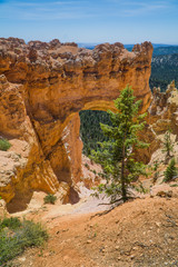 view of Arch in Brice Canyon