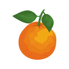 orange fresh fruit icon