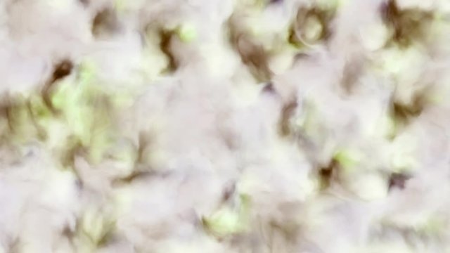 Loopable 4k video of milky white, green and brown clouds in a nebula in space, slowly moving, forming and dissolving, 4k, 3840p, 25fps