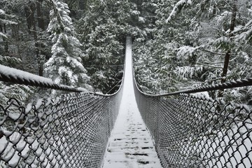 Lynn Valley Park on snowy day
