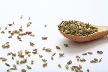 Image of fennel (herb)