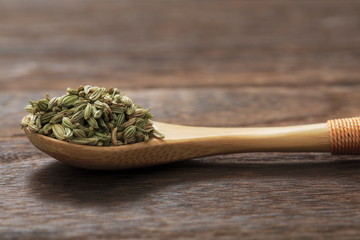 Image of fennel (herb)