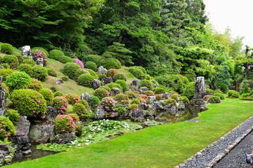 Fototapeta premium 日本庭園 風景