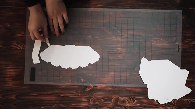 plotter cuts film or paper