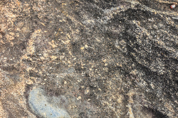 Textura Rochhosa