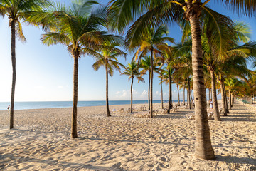 Playa del carmen beach