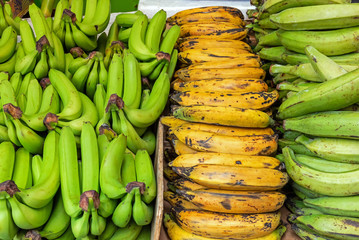 Different kinds of bananas for sale at a market in Brixton, London