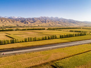 Yellow field and blue sky. The pastoral landscape. The countryside colorful background，Xinjiang, China。