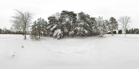 3D spherical panorama of winter forest with snow and pines with 360 degree viewing angle. Ready for...