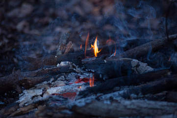 small campfife close-up, embers of a fire, - 257802131