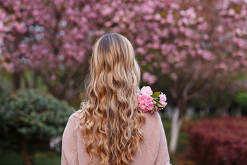 Beautiful young woman with long curly blonde hair from behind holding blooming branch of sakura tree - obrazy, fototapety, plakaty
