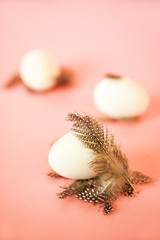 Egg and feathers on a pink background close-up and copy space. Easter concept with egg and feathers.