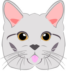 vector image of big cat