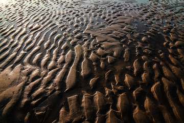 Naklejka premium View of a muddy shore at low tide