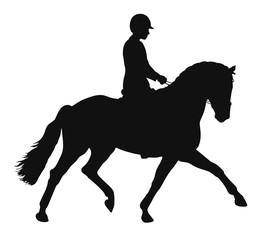 Fototapeta na wymiar Silhouette of a rider on a horse execute the trot.