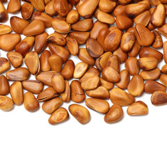 Pine nuts on white background