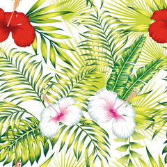 White red hibiscus green leaves seamless white background