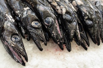Black scabbardfish at Funchal market, Madeira