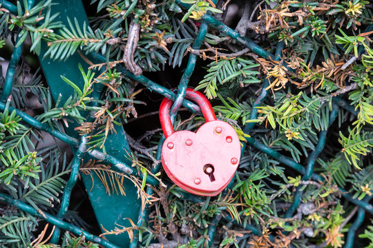 Padlocks on metal fence in Paris