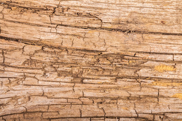 wooden board closeup. old background