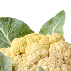 Fresh cauliflower on white background 