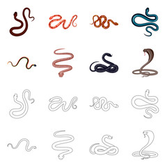 Vector design of mammal and danger logo. Collection of mammal and medicine vector icon for stock.