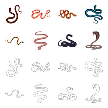 Vector design of mammal and danger logo. Collection of mammal and medicine vector icon for stock.