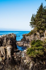 Fototapeta na wymiar landscape of a the ocean, beach and cliff (vertical view)