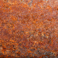 sheet of rusty metal. old oxidized background