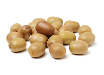 kiwi fruit on white background