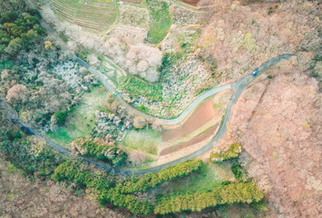 弘法山公園夕景 / 秦野