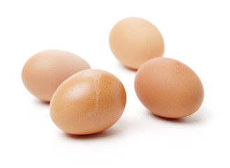 eggs on a white background