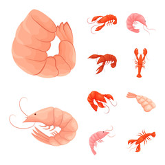 Isolated object of shrimp and crab icon. Set of shrimp and sea stock symbol for web.